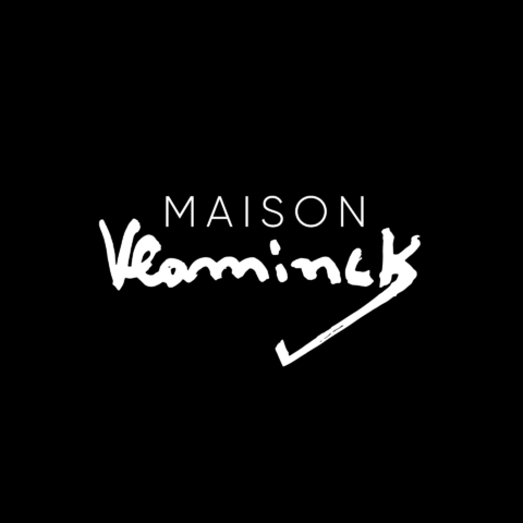 MV LOGO_blanc